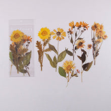 Загрузить изображение в средство просмотра галереи, Journamm 6pcs Flowers Weekend Fern Eucalyptus leaves PET Stickers Scrapbooking Journal Deco Album Deco DIY Stationery Stickers - AVA Health and Wellness Boutique