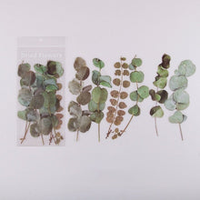 Загрузить изображение в средство просмотра галереи, Journamm 6pcs Flowers Weekend Fern Eucalyptus leaves PET Stickers Scrapbooking Journal Deco Album Deco DIY Stationery Stickers - AVA Health and Wellness Boutique