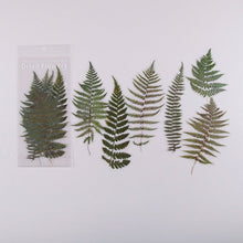 Загрузить изображение в средство просмотра галереи, Journamm 6pcs Flowers Weekend Fern Eucalyptus leaves PET Stickers Scrapbooking Journal Deco Album Deco DIY Stationery Stickers - AVA Health and Wellness Boutique
