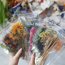 Загрузить изображение в средство просмотра галереи, Journamm 6pcs Flowers Weekend Fern Eucalyptus leaves PET Stickers Scrapbooking Journal Deco Album Deco DIY Stationery Stickers - AVA Health and Wellness Boutique