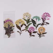 Загрузить изображение в средство просмотра галереи, Journamm 6pcs Flowers Weekend Fern Eucalyptus leaves PET Stickers Scrapbooking Journal Deco Album Deco DIY Stationery Stickers - AVA Health and Wellness Boutique