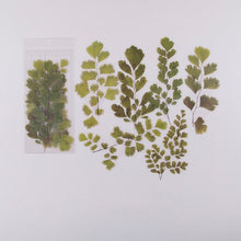 Загрузить изображение в средство просмотра галереи, Journamm 6pcs Flowers Weekend Fern Eucalyptus leaves PET Stickers Scrapbooking Journal Deco Album Deco DIY Stationery Stickers - AVA Health and Wellness Boutique