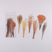 Загрузить изображение в средство просмотра галереи, Journamm 6pcs Flowers Weekend Fern Eucalyptus leaves PET Stickers Scrapbooking Journal Deco Album Deco DIY Stationery Stickers - AVA Health and Wellness Boutique