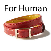 Lade das Bild in den Galerie-Viewer, UFBemo Personalized Cat Collar Elastic with Bell Necklace Soft PU Leather Pet Collars Luxury Safety Kitten Small Dog Chihuahua - AVA Health and Wellness Boutique