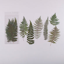 Load image into Gallery viewer, Journamm 6pcs Flowers Weekend Fern Eucalyptus leaves PET Stickers Scrapbooking Journal Deco Album Deco DIY Stationery Stickers - AVA Health and Wellness Boutique
